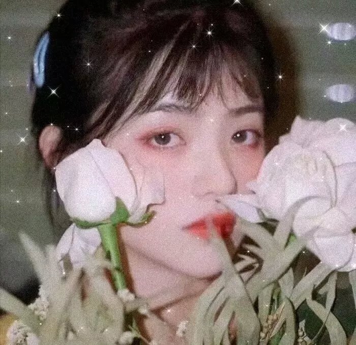 心智游戏